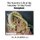The Secretive Life of the Amazing 'Living Fossil' Scorpion (Hardcover): M Habibulla