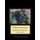 Finland Bouquet - Boris Kustodiev Cross Stitch Pattern (Large print, Paperback, Large type / large print edition): Kathleen...