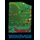 Hundertwasser - Complete Graphic Work 1951-1976 (Hardcover): Walter Koschatzky, Wieland Schmied