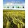 Sustainable Food Systems from Agriculture to Industry - Improving Production and Processing (Paperback): Charis M Galanakis