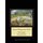 Voyer d'Argenson Park - Van Gogh Cross Stitch Pattern (Large print, Paperback, Large type / large print edition): Kathleen...