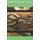 Ball Python Care - The Complete Guide to Caring for and Keeping Ball Pythons as Pets (Paperback): Tabitha Jones