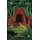 The Hidden Palace Adventure - A Hate-Love Story (Paperback): Ranjit Lal