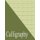 Beginners Calligraphy Workbook - Slanted Practice Grid Paper - Green (Paperback): Red Dot