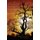 The Indigenous Experience - Global Perspectives (Paperback): Roger C. A. Maaka, Chris Andersen
