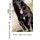 The groenendael (Paperback): Francois Kiesgen