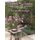 Growing with the Seasons (Paperback): Frank Giannangelo, Vicky Giannangelo