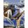 The Crucifixion Part 1 - The Road to the Cross: New Testament Volume 11: Life of Christ Part 11 (Paperback): Ruth B Greiner,...
