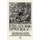 Education And Democracy - Paulo Freire, Social Movements, And Educational Reform In Sao Paulo (Hardcover): Pilar O'Cadiz