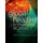 Global Health and International Relations (Paperback): C. McInnes