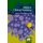 MCQs in Clinical Pharmacy (Paperback): Lilian M. Azzopardi