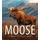 Moose: Crowned Giant of the Northern Wilderness (Paperback): Mark Raycroft
