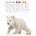 White (Hardcover): Amy Culliford