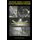 Advanced Thermally Assisted Surface Engineering Processes (Hardcover, 2004 ed.): Ramnarayan Chattopadhyay