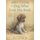The Dog Who Lost His Bark (Paperback): Eoin Colfer