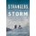 Strangers In The Storm - Love And Survival On Mount Rainier (Paperback): Jared Rund, Diane McKenney