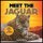 Meet The Jaguar - Fun Facts & Cool Pictures (Paperback): David Atkins