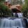 Fallingwater (Hardcover): Lynda Waggoner