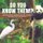 Do You Know Them? Endangered Animals Book Grade 4 Children's Nature Books (Paperback): Baby Professor