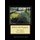 Field with Poppies - Van Gogh Cross Stitch Pattern (Large print, Paperback, Large type / large print edition): Kathleen George,...