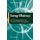 Energy Efficiency - Real Time Energy Infrastructure Investment and Risk Management (Paperback, 2009 ed.): Leslie A. Solmes