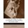 Typische Zuge in Der Schottisch-Englischen Volksballade ... (English, German, Paperback): Alfred Wirth