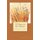 25 Years in the Desert - A Companion Guide for the Cosmic Journey of a Lifetime (Paperback): Mary A. McDermott Ph. D.