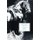 Black Beauty (Paperback, abridged edition): Anna Sewell