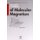 Theoretical Foundations of Molecular Magnetism, Volume 1 (Hardcover): Roman Bo ca