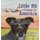 Little Bit Comes to America (Hardcover): Star Sherman