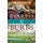 Barrios to Burbs - The Making of the Mexican American Middle Class (Hardcover, New): Jody Vallejo