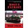 Rogue Patriot (Paperback): Mike Trial