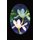 Shadow Flower (Paperback): Lorraine Crawley