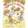 Sophie's Squash (Paperback): Pat Zietlow Miller, Anne Wilsdorf