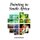 Painting in South Africa (Hardcover): Esme Berman