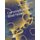 Coronaviruses - Brief Notes: - Book 1 - (Paperback): Anthony Kamau