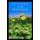 Wild Plant for Beginners - A book guide on how to ethically plant, identify, harvest, prepare, eat and preserve wild plants...