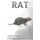 Rat - Fun Facts on Small Animals #4 (Paperback): Michelle Hawkins