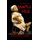 The Handbook of Haunted Dolls (Paperback): Davina Rush