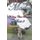 Mady (Paperback): J Haney, S. I. Hayes