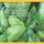 Backyard/Urban Homesteading Is the New Living Off-Grid - The Beginners How-To-Guide for: Micro-Farming, Food Preservation,...