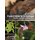 Forest Insects in Europe - Diversity, Functions and Importance (Paperback): Beat Wermelinger