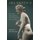 Ars Erotica - Sex and Somaesthetics in the Classical Arts of Love (Paperback): Richard Shusterman