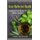 Four Herbs for Health - Cooking with Herbs for Better Health (Paperback): Paolo Jose De Luna