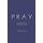 Pray - Journals for an Imminent Crash (Paperback): Mike Andrews