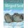 Animals Illustrated: Ringed Seal (Hardcover, English Edition): William Flaherty