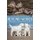 Beyond Words: What Wolves and Dogs Think and Feel (A Young Reader's Adaptation) (Paperback): Carl Safina