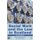Social Work and the Law in Scotland (Paperback, 2nd ed. 2010): Roger Davis, Jean Gordon
