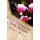 A Spring in the Desert (Paperback): Angel Wood