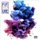 "Future" - DS2(Explicit Version) CD (2015) (CD): "Future"